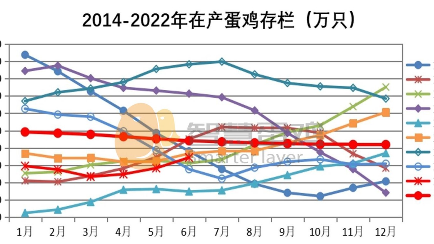 2022上半年我國蛋雞市場分析及后市預(yù)測