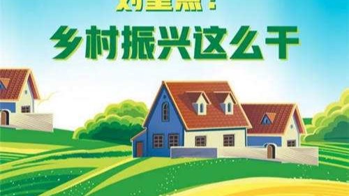 自動蛋雞籠設(shè)備助力養(yǎng)殖戶促增收，智慧蛋雞養(yǎng)殖助力鄉(xiāng)村振興