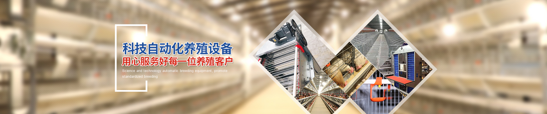 科學自動化養(yǎng)殖設(shè)備