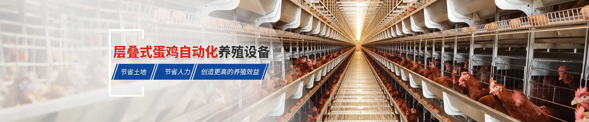 層疊式蛋雞自動化養(yǎng)殖設備