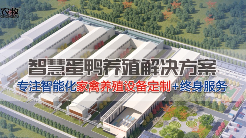 家禽糞污資源轉化為綠色能源的途徑剖析