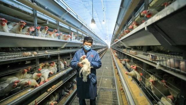 專家解讀 | 中央一號文件首提“農業(yè)新質生產力”